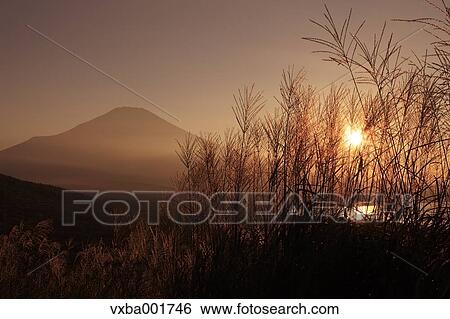 Mount Fuji and Lake Yamanaka at sunset, Yamanashi Prefecture View Large Photo Image Stock Photograph - Mount Fuji and Lake Yamanaka at sunset, Yamanashi Prefecture. Fotosearch