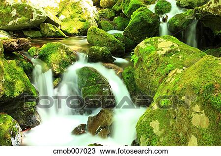 Mountain stream in Tokyo View Large Photo Image Stock Image - Mountain stream in Tokyo. Fotosearch