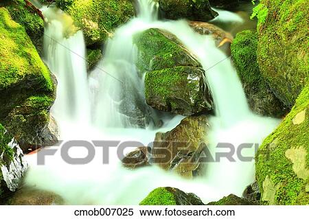 Mountain stream in Tokyo View Large Photo Image Stock Photography - Mountain stream in Tokyo. Fotosearch