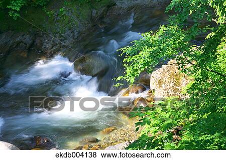 Mountain stream, Yamagata Prefecture View Large Photo Image Stock Photo - Mountain stream, Yamagata Prefecture. Fotosearch