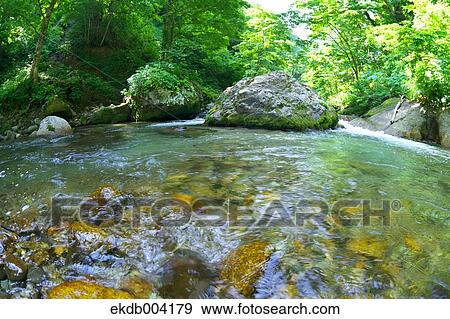 Mountain stream, Yamagata Prefecture View Large Photo Image Stock Photo - Mountain stream, Yamagata Prefecture. Fotosearch