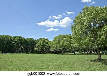 Stock Image - Park and sky with clouds. Fotosearch