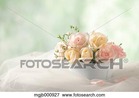 Rose bouquet on table View Large Photo Image Stock Photo - Rose bouquet on table. Fotosearch