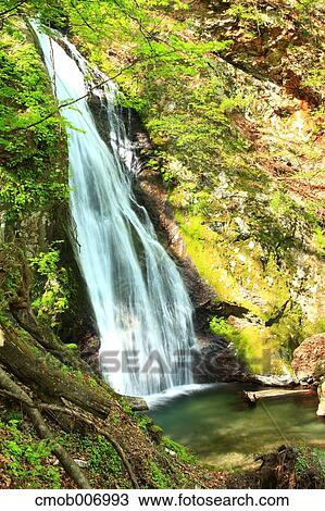 Shouryu waterfall, Saitama Prefecture View Large Photo Image Stock Image - Shouryu waterfall, Saitama Prefecture. Fotosearch