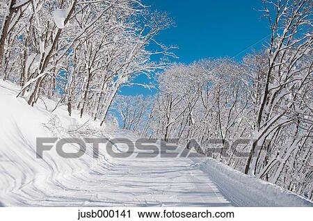 Stock Image - Snow-covered road. Fotosearch