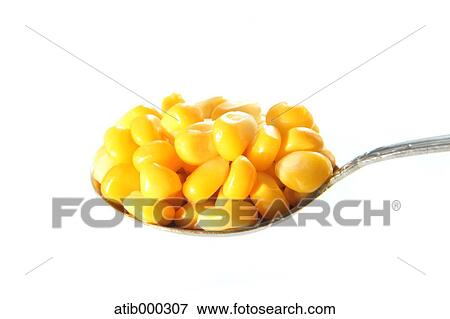 Sweet corn View Large Photo Image Stock Photo - Sweet corn. Fotosearch