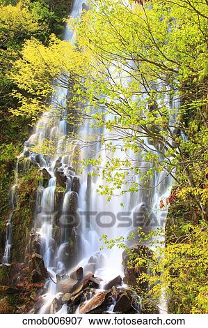Taru waterfall, Nagano Prefecture View Large Photo Image Stock Photo - Taru waterfall, Nagano Prefecture. Fotosearch