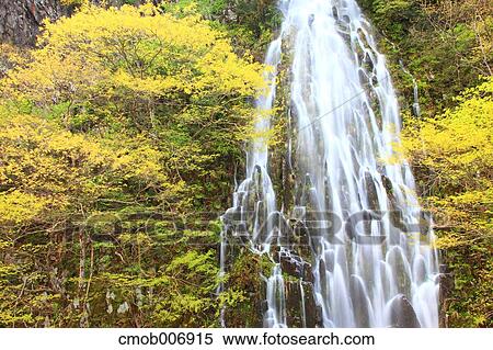 Taru waterfall, Nagano Prefecture View Large Photo Image Stock Photography - Taru waterfall, Nagano Prefecture. Fotosearch