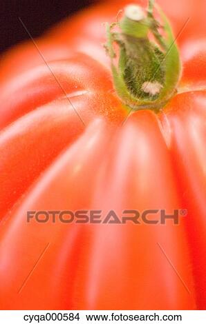 Tomato close-up View Large Photo Image Picture - Tomato close-up. Fotosearch