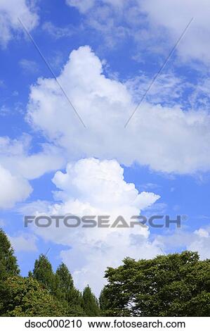 Trees and blue sky with clouds View Large Photo Image Stock Image - Trees and blue sky with clouds. Fotosearch