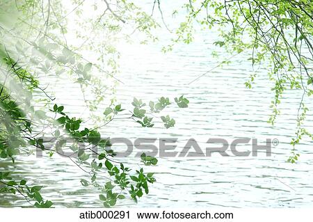 Stock Image - Water stream and green leaves. Fotosearch