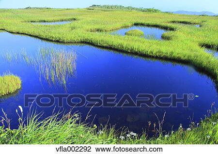 Wetlands in Higashitagawa County, Yamagata Prefecture View Large Photo Image Stock Image - Wetlands in Higashitagawa County, Yamagata Prefecture. Fotosearch