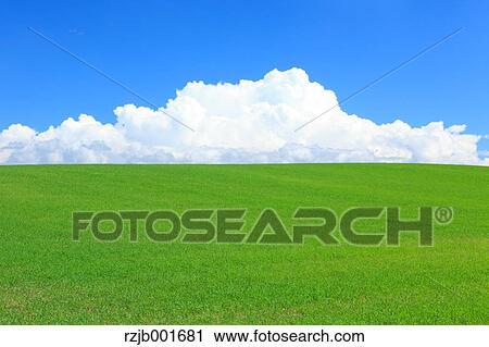 Wheat field and clouds, Hokkaido View Large Photo Image Stock Image - Wheat field and clouds, Hokkaido. Fotosearch
