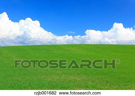Wheat field and clouds, Hokkaido View Large Photo Image Stock Image - Wheat field and clouds, Hokkaido. Fotosearch