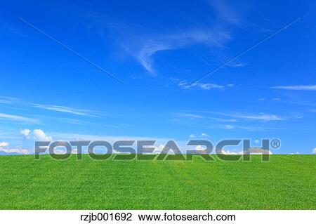 Wheat field and clouds, Hokkaido View Large Photo Image Stock Image - Wheat field and clouds, Hokkaido. Fotosearch