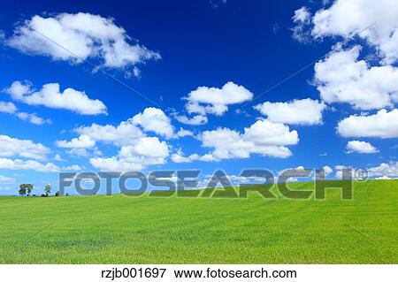 Stock Photo - Wheat field and clouds, Hokkaido. Fotosearch