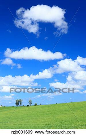 Stock Photo - Wheat field and clouds, Hokkaido. Fotosearch