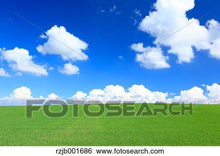 Stock Photograph - Wheat field and clouds, Hokkaido. Fotosearch