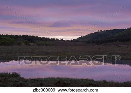 Yashimagahara wetlands, Nagano Prefecture View Large Photo Image Stock Photo - Yashimagahara wetlands, Nagano Prefecture. Fotosearch