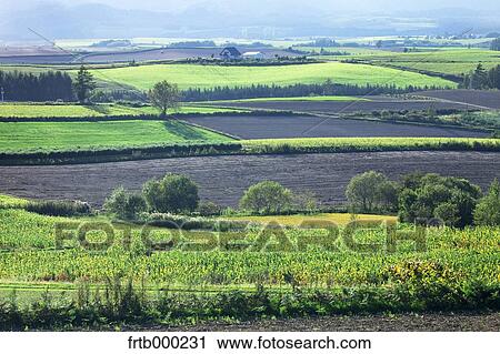 Autumn in Biei countryside, Hokkaido View Large Photo Image Stock Image - Autumn in Biei countryside, Hokkaido. Fotosearch