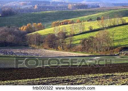 Biei countryside at sunset, Hokkaido View Large Photo Image Stock Image - Biei countryside at sunset, Hokkaido. Fotosearch