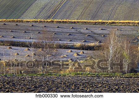 Stock Image - Biei countryside in Autumn, Hokkaido. Fotosearch