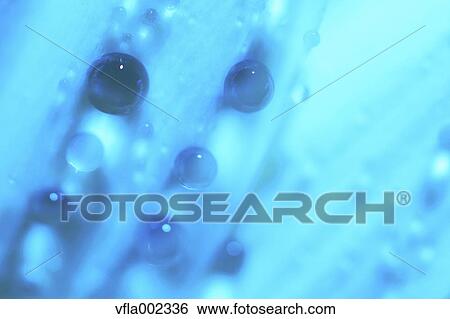 Close up of water drops on flower View Large Photo Image Stock Photograph - Close up of water drops on flower. Fotosearch