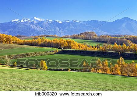 Stock Image - Daisetsuzan volcanic group, Hokkaido. Fotosearch