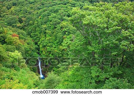 Komadome waterfall, Tochigi Prefecture View Large Photo Image Stock Photo - Komadome waterfall, Tochigi Prefecture. Fotosearch