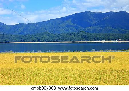 Lake Tazawa, Akita Prefecture View Large Photo Image Stock Photo - Lake Tazawa, Akita Prefecture. Fotosearch