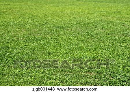 Lawn View Large Photo Image Stock Photo - Lawn. Fotosearch