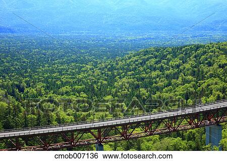 Matsumi bridge and trees, Hokkaido View Large Photo Image Stock Photograph - Matsumi bridge and trees, Hokkaido. Fotosearch