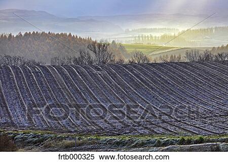 Stock Photography - Morning in Biei countryside, Hokkaido. Fotosearch