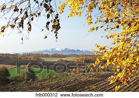Mount Ashibetsu and Biei countryside, Hokkaido View Large Photo Image Stock Image - Mount Ashibetsu and Biei countryside, Hokkaido. Fotosearch