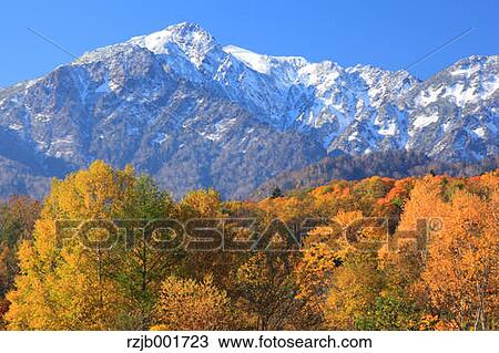 Mount Ashibetsu and yellow leaves, Hokkaido View Large Photo Image Stock Image - Mount Ashibetsu and yellow leaves, Hokkaido. Fotosearch