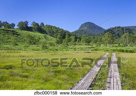 Mount Kasa and Tanohara wetlands, Nagano Prefecture View Large Photo Image Stock Photo - Mount Kasa and Tanohara wetlands, Nagano Prefecture. Fotosearch