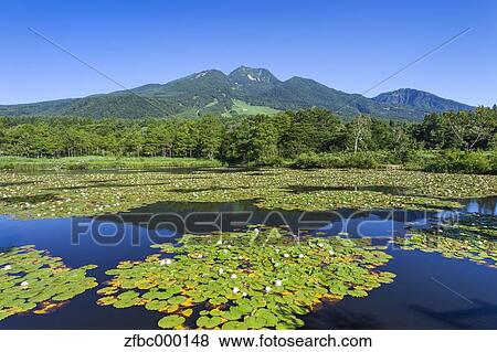 Mount Myoko and Imori pond, Niigata Prefecture View Large Photo Image Stock Photo - Mount Myoko and Imori pond, Niigata Prefecture. Fotosearch
