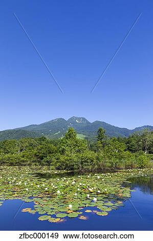 Mount Myoko and Imori pond, Niigata Prefecture View Large Photo Image Stock Photo - Mount Myoko and Imori pond, Niigata Prefecture. Fotosearch