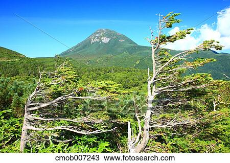 Stock Image - Mount Rausu, Hokkaido. Fotosearch