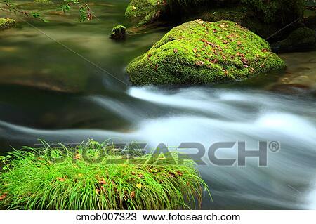 Oirase mountain stream, Aomori Prefecture View Large Photo Image Stock Image - Oirase mountain stream, Aomori Prefecture. Fotosearch