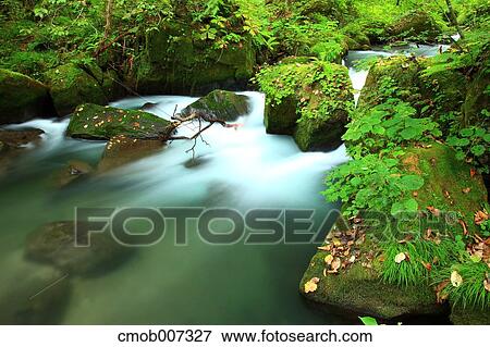 Oirase mountain stream, Aomori Prefecture View Large Photo Image Stock Photo - Oirase mountain stream, Aomori Prefecture. Fotosearch