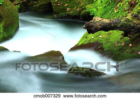 Oirase mountain stream, Aomori Prefecture View Large Photo Image Stock Photo - Oirase mountain stream, Aomori Prefecture. Fotosearch