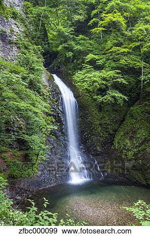 Ozen waterfall, Gunma Prefecture View Large Photo Image Stock Photo - Ozen waterfall, Gunma Prefecture. Fotosearch
