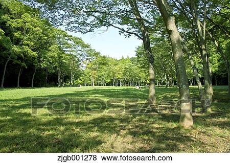 Park in Osaka Prefecture View Large Photo Image Stock Photo - Park in Osaka Prefecture. Fotosearch