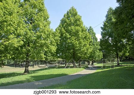 Park View Large Photo Image Stock Image - Park. Fotosearch