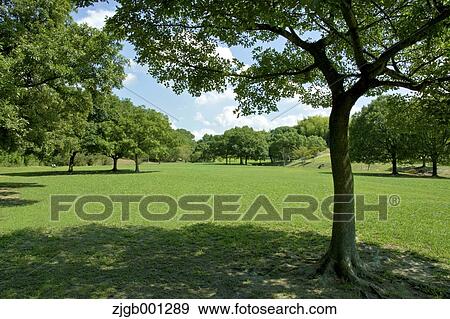 Park View Large Photo Image Stock Photo - Park. Fotosearch