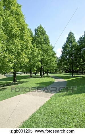Stock Photography - Park. Fotosearch