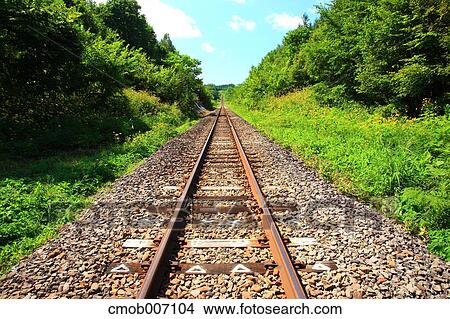 Railway and trees, Hokkaido View Large Photo Image Picture - Railway and trees, Hokkaido. Fotosearch