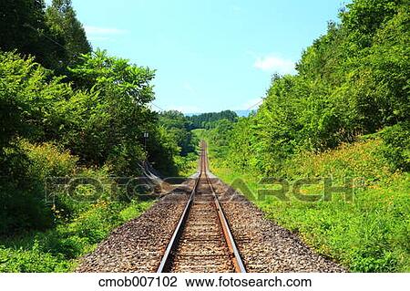 Railway and trees, Hokkaido View Large Photo Image Stock Image - Railway and trees, Hokkaido. Fotosearch