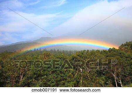 Rainbow over forest, Hokkaido View Large Photo Image Stock Image - Rainbow over forest, Hokkaido. Fotosearch
